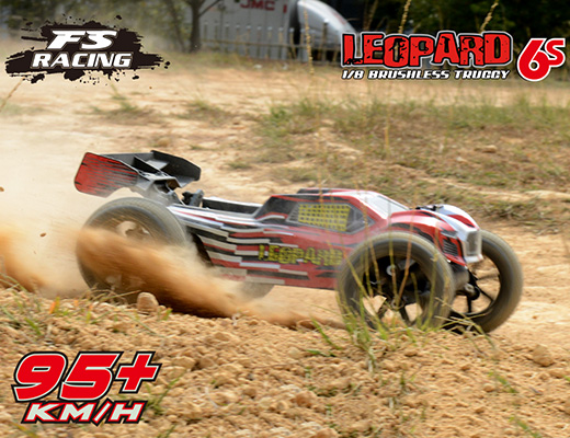 fs racing buggy